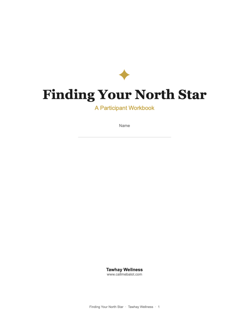 Finding Your North Star Workbook