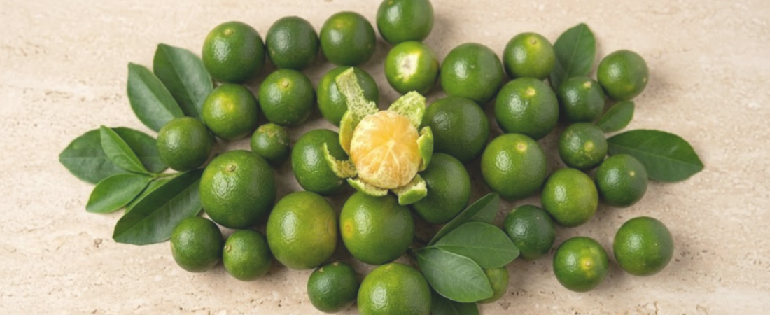 Calamansi Oil Is Not What You Think It Is
