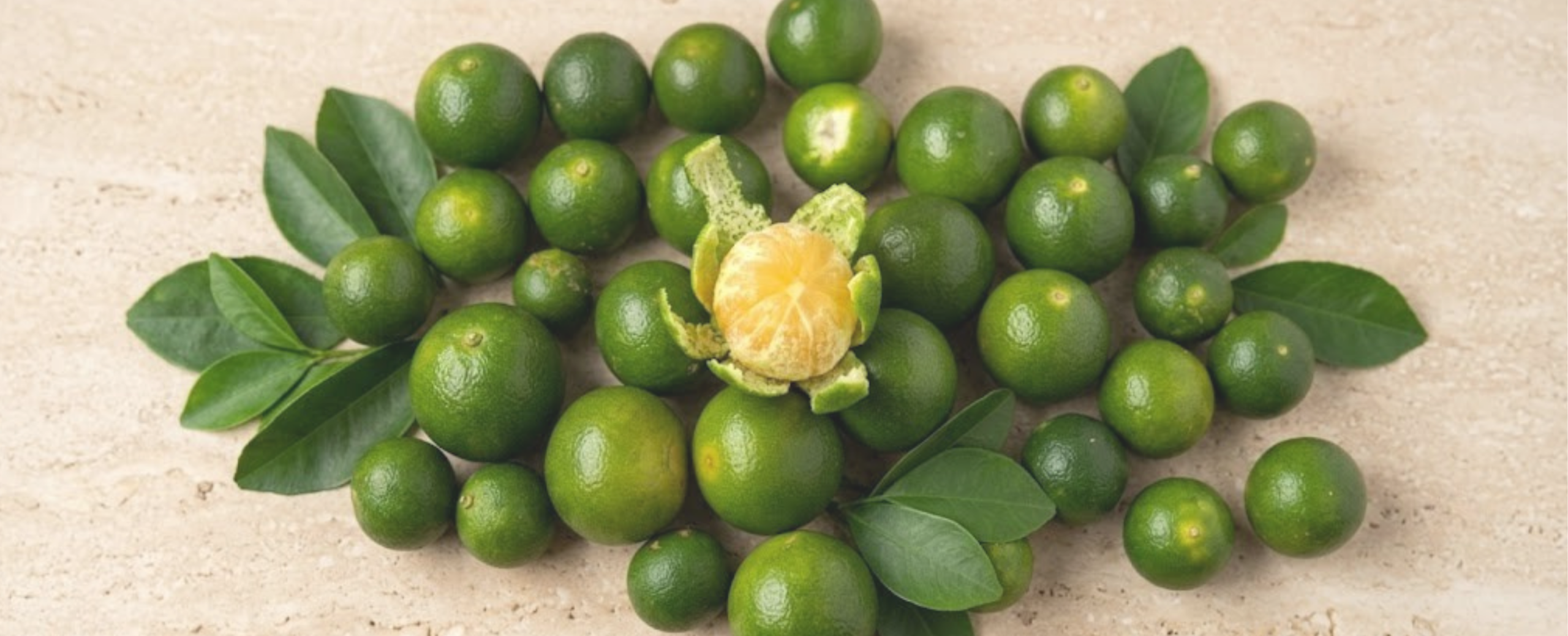 Calamansi Oil Is Not What You Think It Is